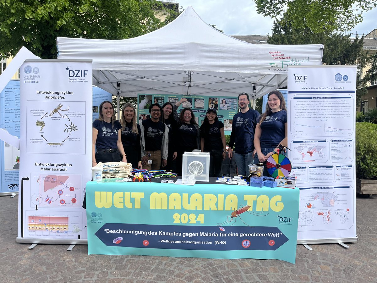 @vicky_ingham1 @uniklinik_hd @UniHeidelberg @DZIF_ Members of the @vicky_ingham1 and @FraukeMuecksch labs @uniklinik_hd at our @DZIF_ -supported #WorldMalariaDay2024 stand on Hauptstraße HD! Come join us!