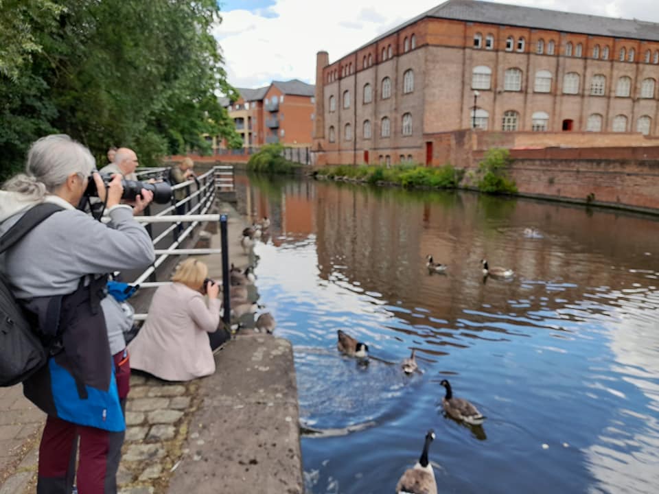 I've got two 5 week wildlife photography courses coming up with Creative short courses at Nottingham Trent University if you want to learn everything from editing, studio, field craft, camera controls, printing you name it this is the course for you! ntu.ac.uk/course/art-and…