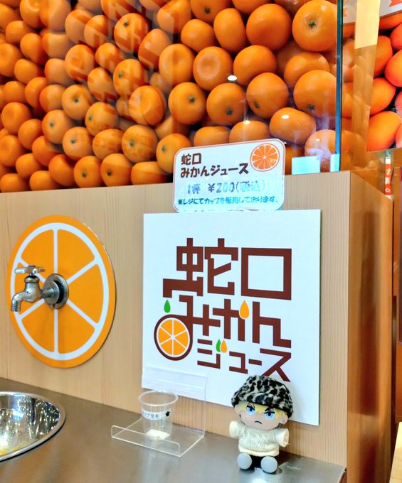 「blue eyes orange (fruit)」 illustration images(Latest)