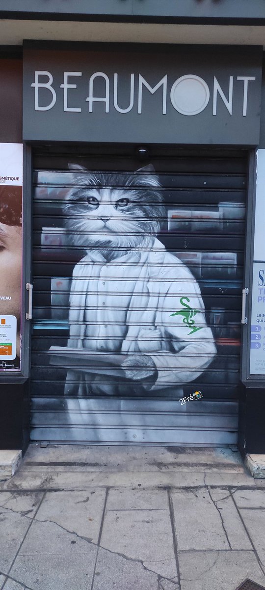 🙀.. #Caturday #StreetArt #graffiti by Wanjah.(Nissa06)