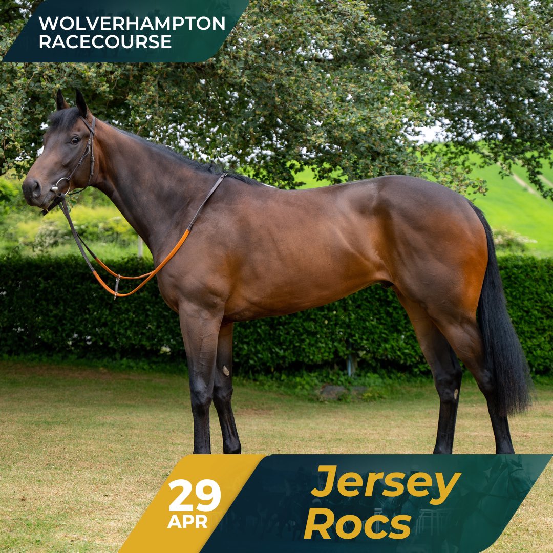 Jersey Rocs has been declared to run at Wolverhampton on April 29th in the 18:30 Download The Raceday Ready App Restricted Novice Stakes over 6f. Cieren Fallon takes the ride!