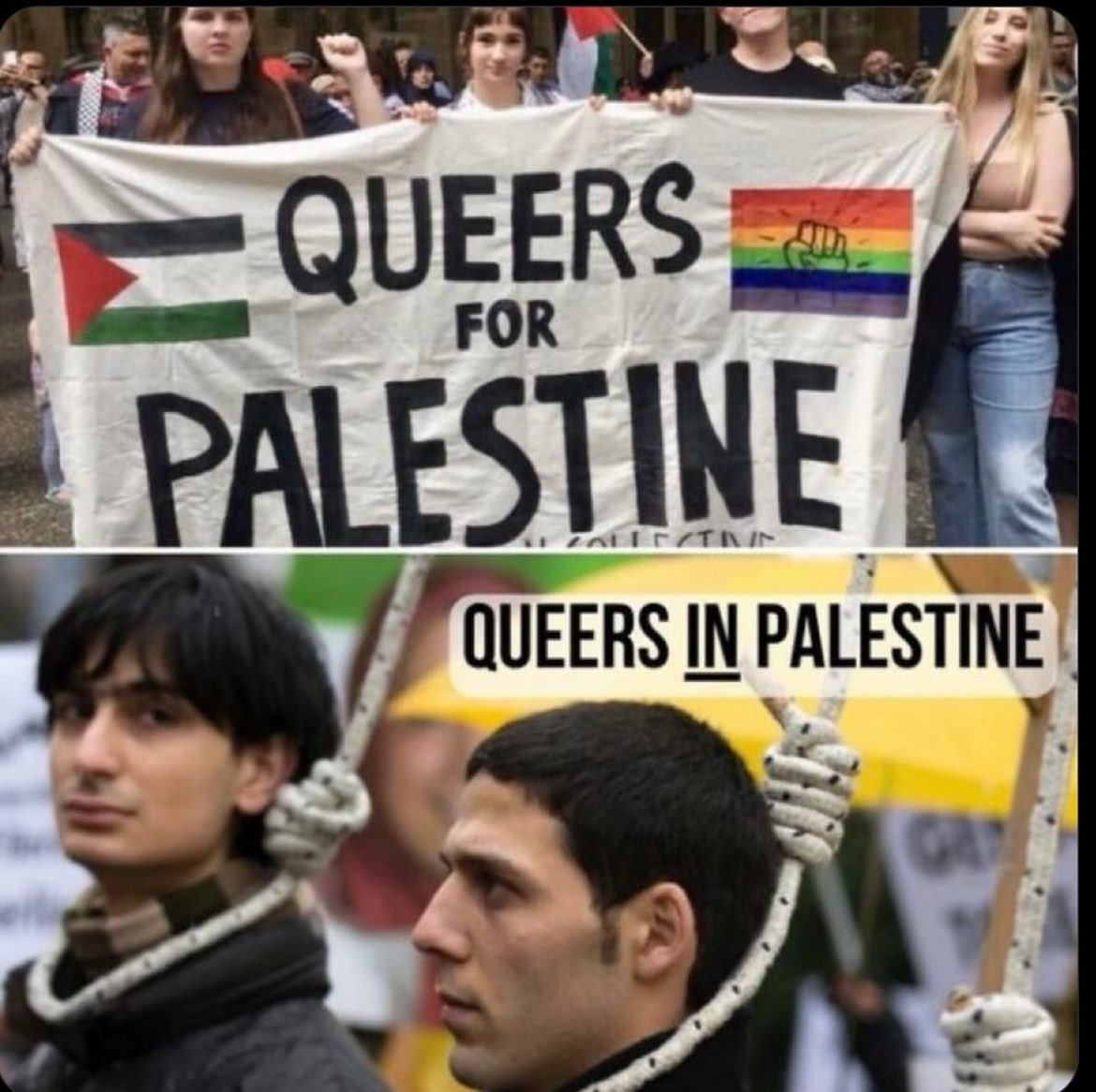 #queersforpalestine