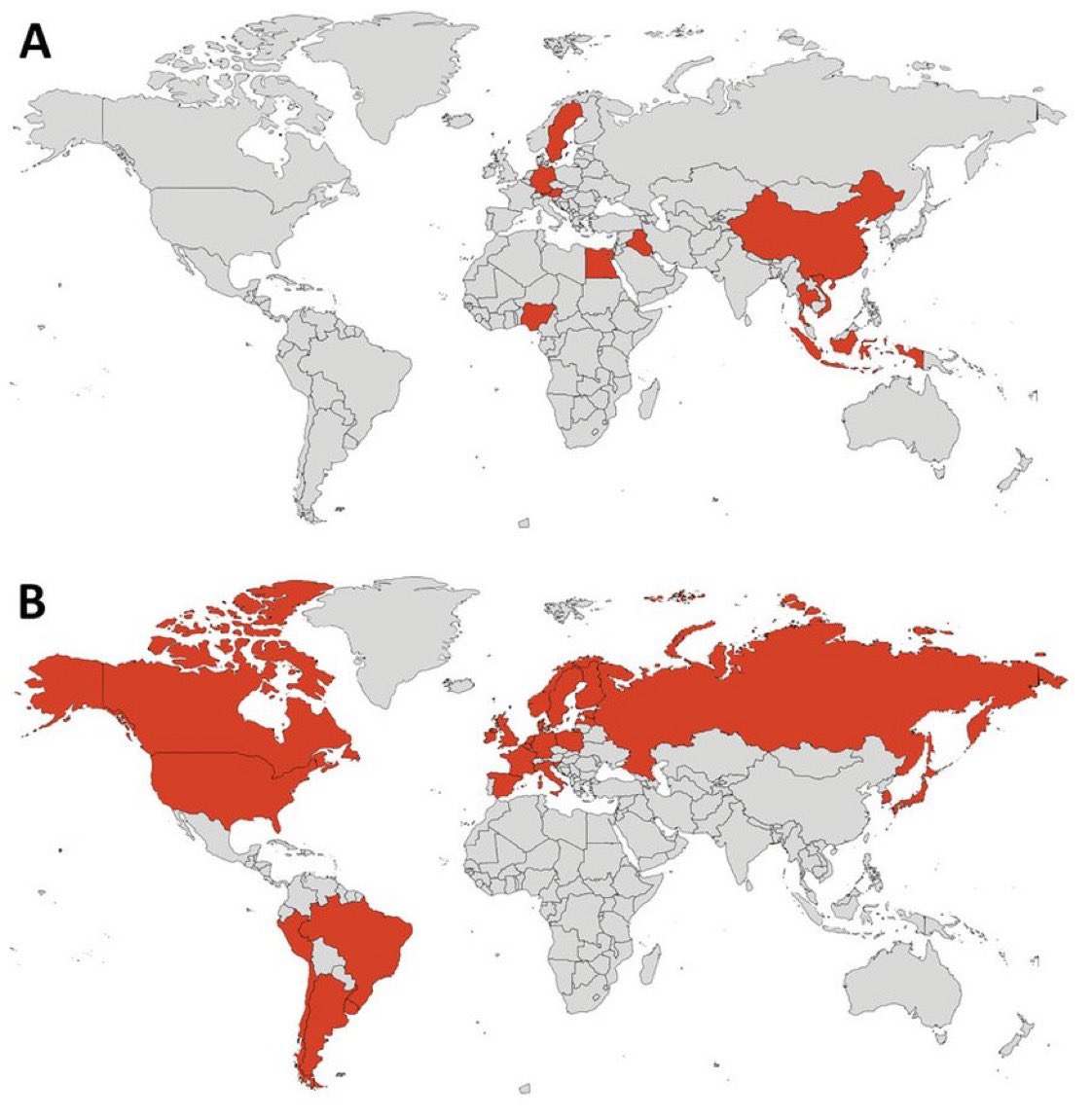 INFECCIÓN DE MAMÍFEROS con el virus H5N1 altamente patógeno en el mundo. ANTES / AHORA 😨😨😨 Ubicación geográfica de las especies de mamíferos afectadas por el H5N1 altamente patógeno en oleadas de infección anteriores, 2003-2019 (A), y en la panzoótica actual, 2020-2023 (B) .