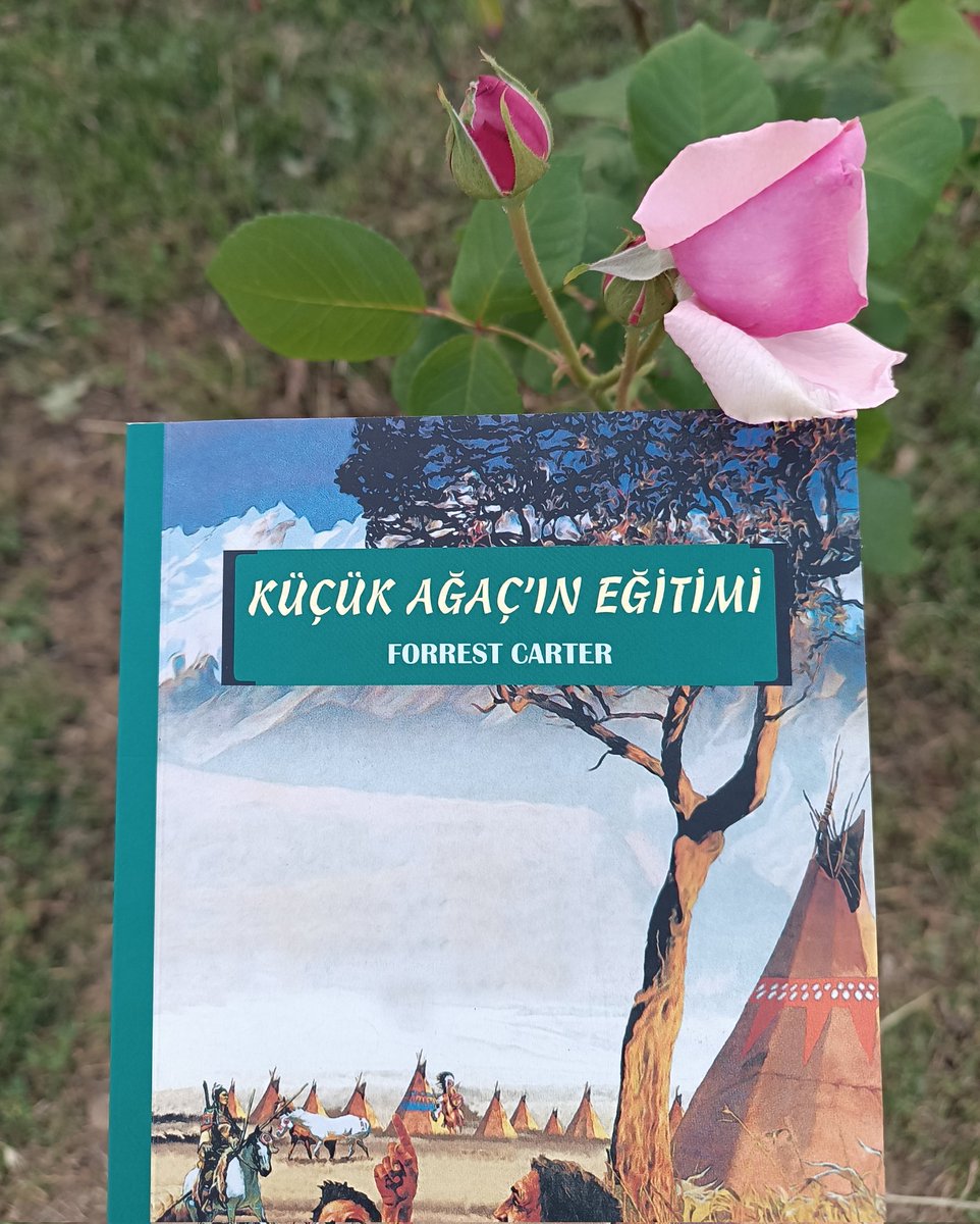 "Bir şeyden vazgeçersen, o zaman bir tür seyirci olursun."