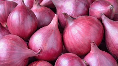 🚨 Indian government allowed export of 99,150 MT onion to six countries - Bangladesh, UAE, Bhutan, Bahrain, Mauritius and Sri Lanka.