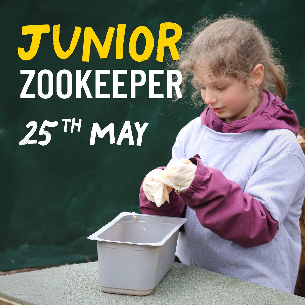Dive into a world of adventure this May half term at Wildwood Devon and celebrate a week-long Bear Bonanza! Visit our website to find out more and to book in some exciting activities 🤗 devon.wildwoodtrust.org/events-experie… From Sat 25th May to Sun 2nd June #wildwooddevon