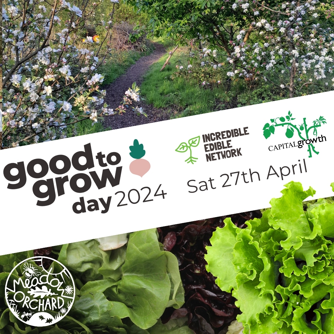 It's our Good to grow day on Saturday and we'll be planting hedging, sowing seeds, soil blocking, and showing off our beautiful new bee hives. We'll have a bit of a beginners ukulele strum from 4.00pm too.

#goodtogrow2024