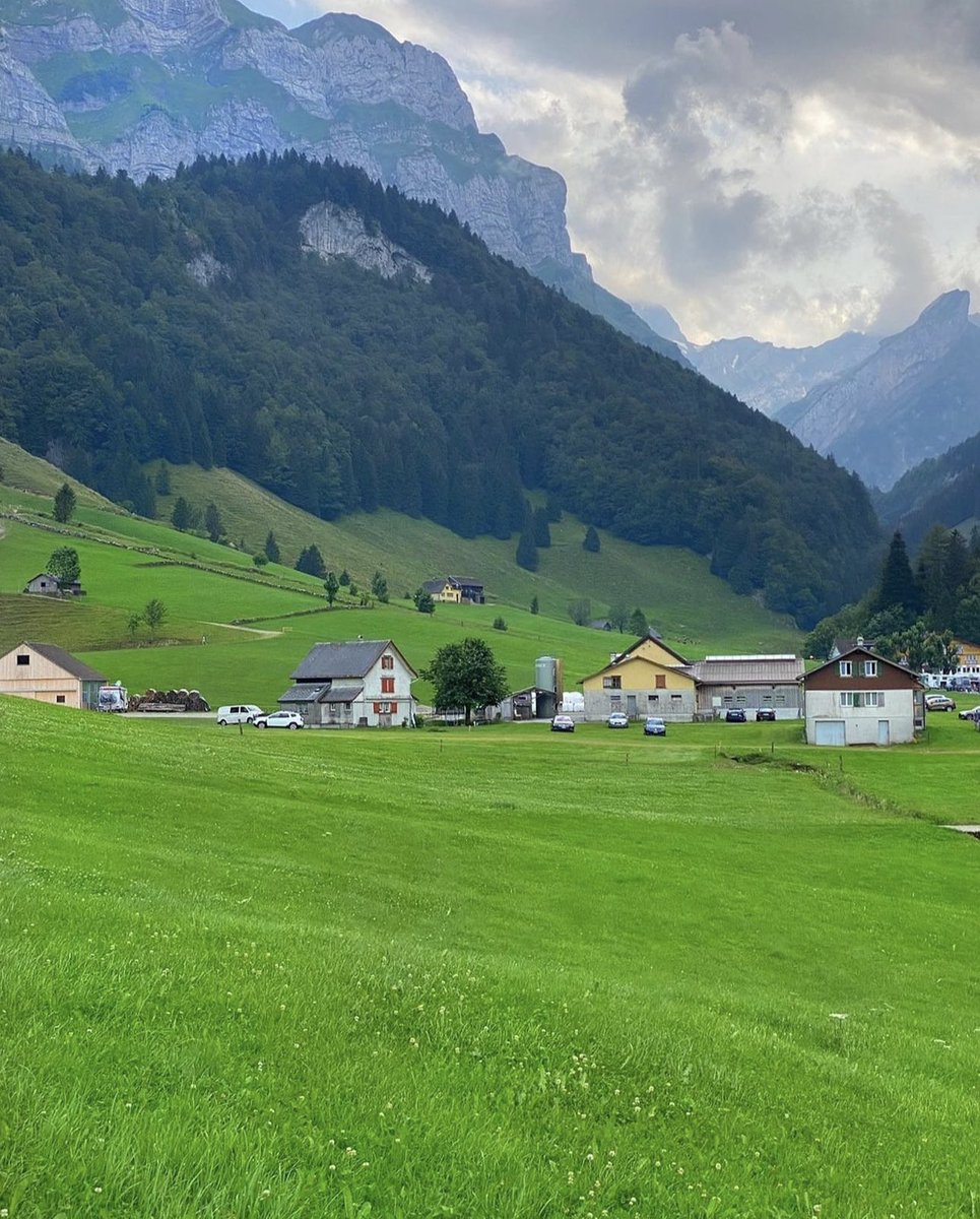 Bir çok insan düşündüğünü sanır, aslında yaptıkları sadece önyargılarını yeniden düzenlemektir. William James #appenzell