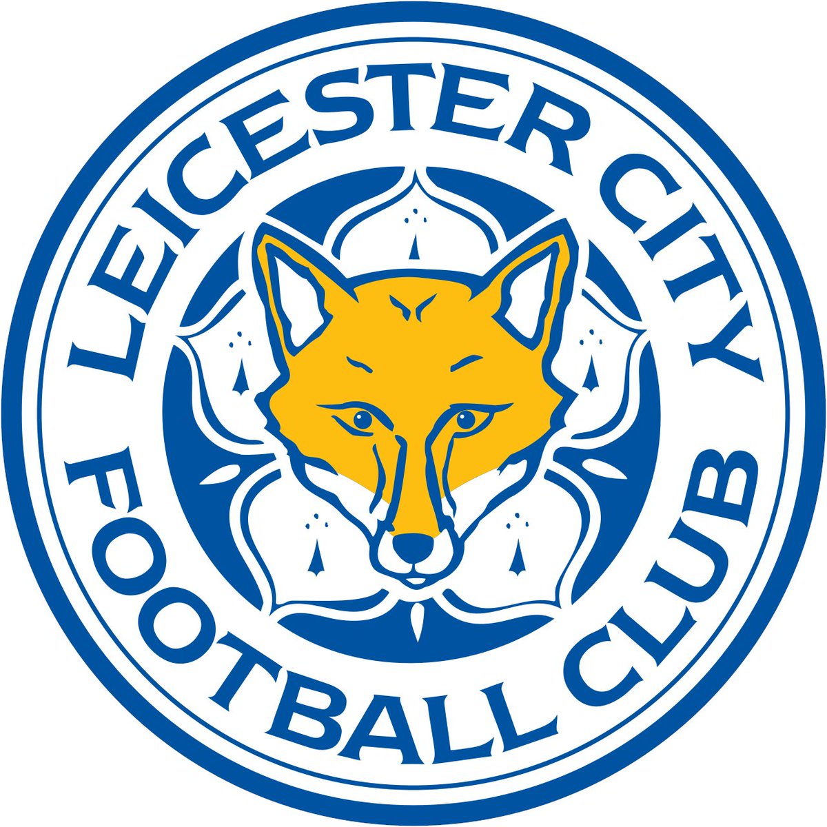 Congratulations to Leicester City FC on their promotion back to the Premier League!