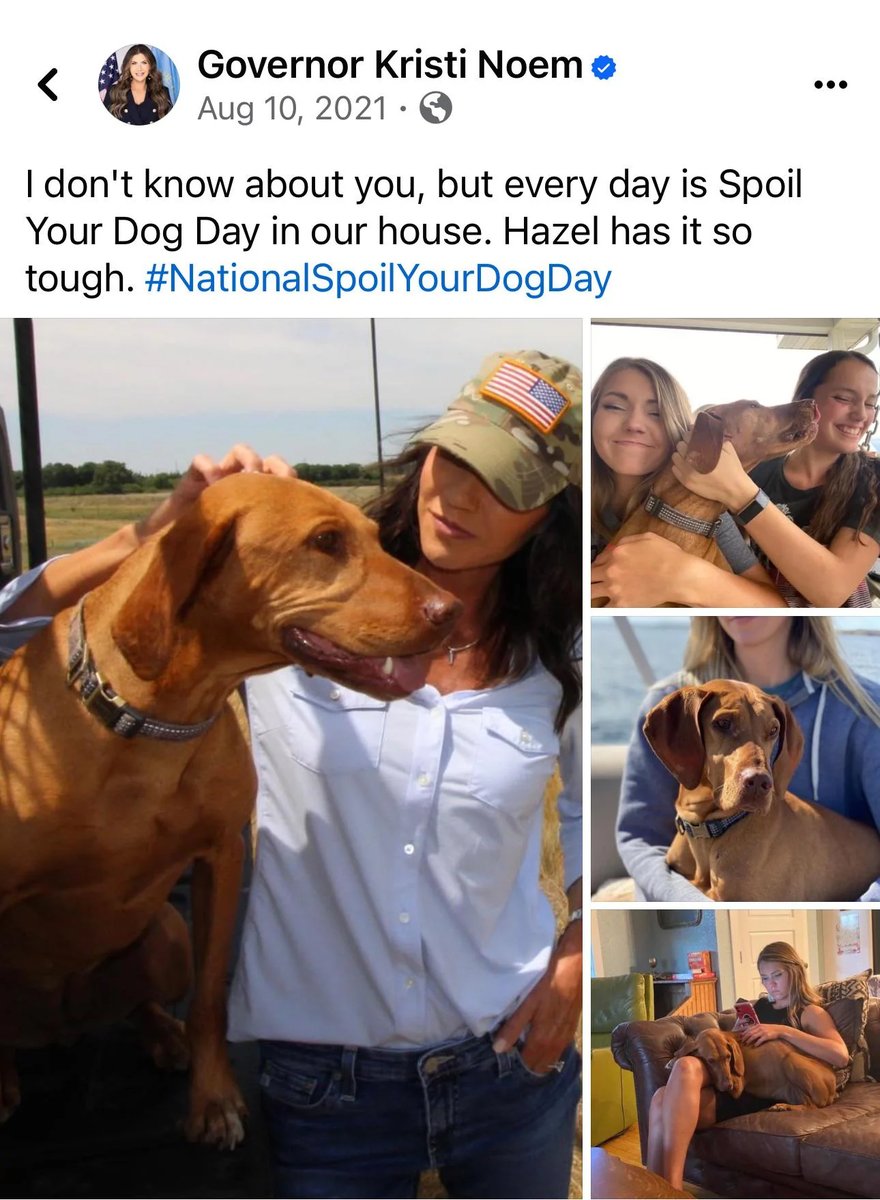 Good morning and Happy Saturday to everyone who would NEVER kill their own dog, especially for being “untrainable,” and would never vote for such a monster, let alone anyone who would select her as a running mate. This post by Noem aged like gas station sushi in the blazing sun.