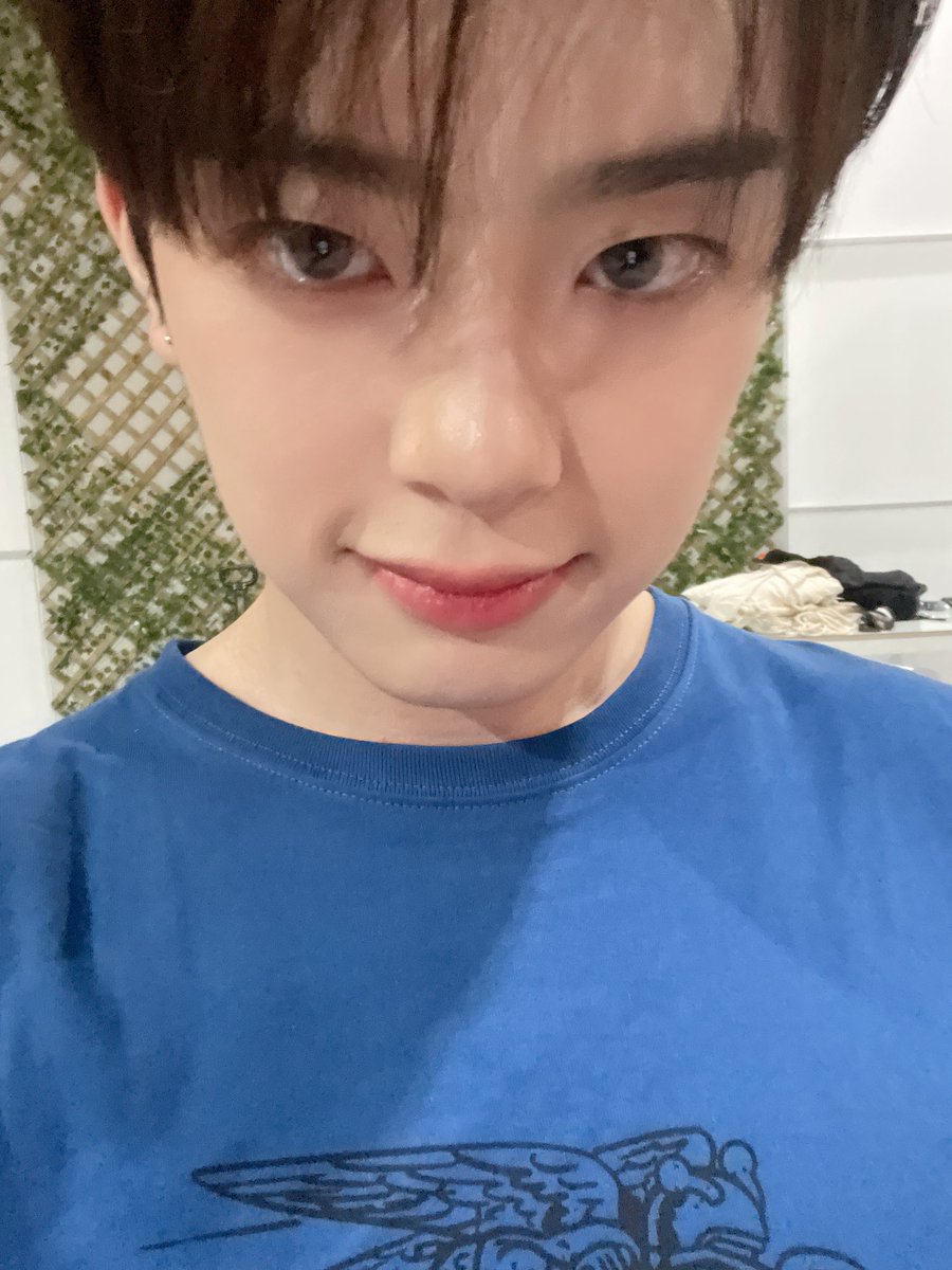 the_verivery_jp tweet picture