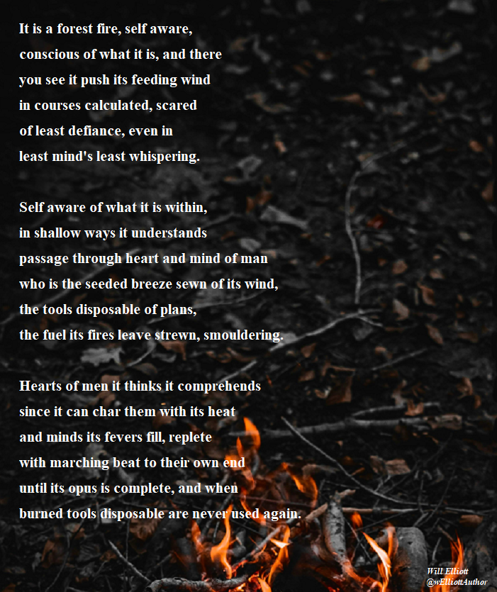 'Pyromania'. Photo: Araz Yurtseven #poetry #poemADay #Poem #Poetrylovers #poetrytwitter #poetsofTwitter #poetrycommunity #Australianpoetry