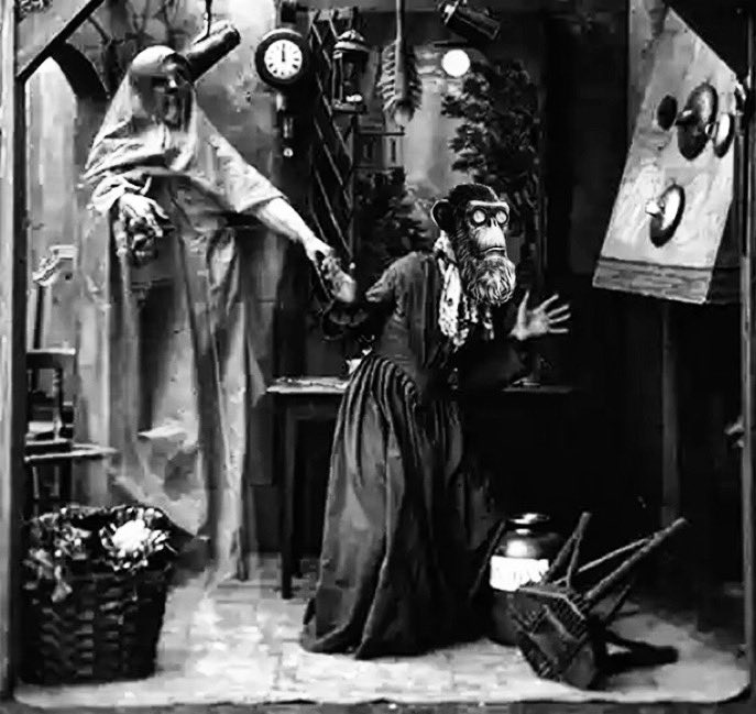 sfumato44's tweet image. #ThorpeDaily 

What scares you? What would your life feel like without fear? Expose yourself to your fears intelligently 😵‍💫

@the_ape_society 

#NFT #CNFT #Cardano