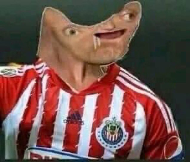 chavez1330's tweet photo. @TioMalin @FerCevallosF Simplemente es el único equipo apapachado y protegido de toda la liga #falsocampeon https://t.co/eTmZWwIMYa