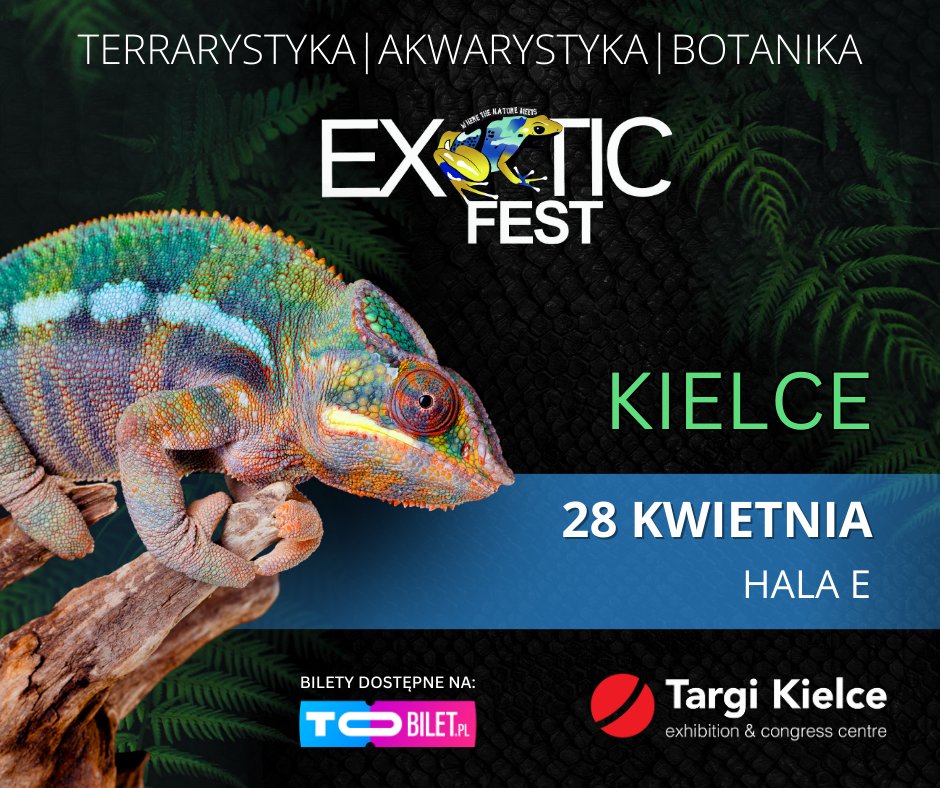 🌿🦎 Exotic Fest w @TargiKielce! 🦎🌿 🐍 Kilkaset gatunków terrariowych i akwariowych: od popularnych po unikatowe gadziny, płazy, ryby, owady i więcej! 🌱 Rośliny - od ulubionych po kolekcjonerskie perełki. 🛍️ Wszystko, czego potrzebujesz dla swojego pupila: 🦋 Akcesoria,…