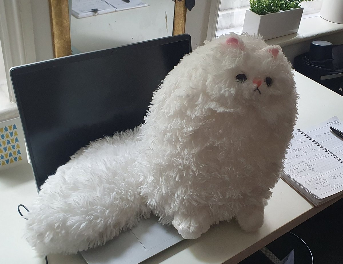 Seeing as it's #Caturday please welcome my new personal assistant, Princess Fluffy. 😊🐱 One of my birthday presents from my lady who knows how much I love cats. 😅🐈 #SaturdayVibes #birthdaygift #CatsOfTwitter #Fluffy #pussy