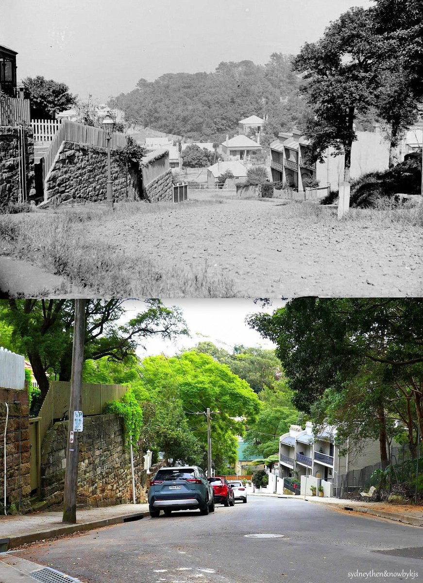 1910 ~ 2020 North Sydney. From the archive. Looking down Riley St to No 10, home of pioneering photographer Harold Cazneaux. His work was regarded internationally and locally and features in many posts here No 10 is the left of the three terraces. Images H.Cazneaux / K.Sundgren.