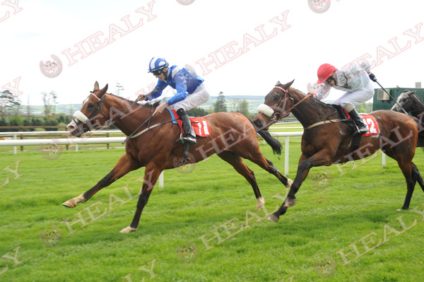 🐎 @GowranPark1 27-April-2008 #FromTheArchives #Memories #OnThisDay #HorseRacing #16yearsago 'Mutqan' O- Sheikh Hamdan T- Kevin Prendergast J- Chris Geoghegan (c)healyracing.ie