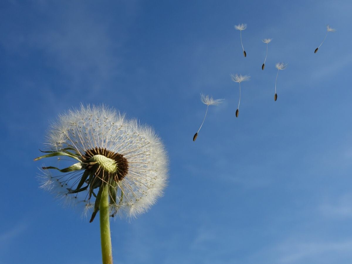 D'où vient le vent et comment les météorologues le mesurent-ils ? 👉 l.sciencesetavenir.fr/i4D