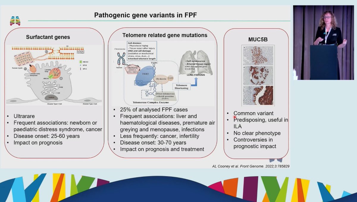 Dr Maria Molina Molina explains pathogenic gene variants in familial #pulmonaryfibrosis - surfactant gene abnormalities, telomere related gene mutations (accelerated lung fibrosis), MUC5B predisposition to developing lung fibrosis. Need standardised protocols for genetic tests.