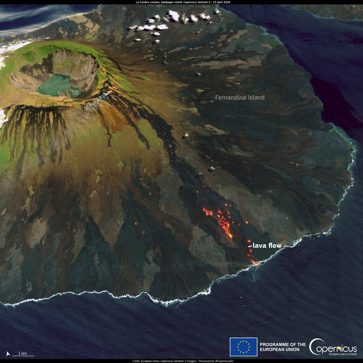 #Copernicus for volcano monitoring 

The La Cumbre volcano 🌋 on Fernandina Island (Galapagos 🇪🇨) has been in an eruptive phase since 3 March
 
⬇️ The lava flow has reached the sea, as visible in this #Sentinel2 🇪🇺🛰️ image from 15 April