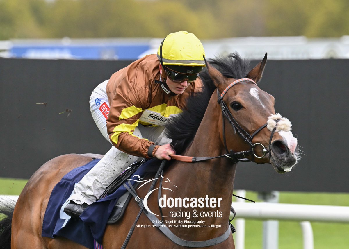 RACE 5 RESULT - Andy Gibson Memorial Handicap 🥇 Our Golden One Jockey: @HollieDoyle1 Trainer: @TomWardRacing Owner: The Scout Syndicate 📸 @nigekirby #DoncasterRaces | #ChampionOccasions | #DONSAR