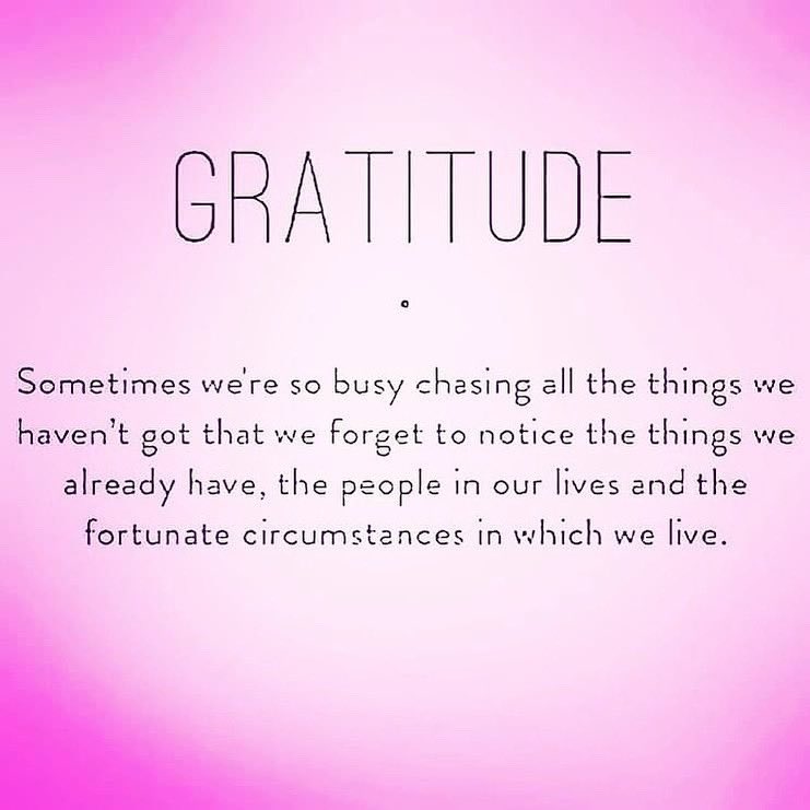 #sotrue #gratitude #gratitudequotes #quote #lovethis #lovelovelove