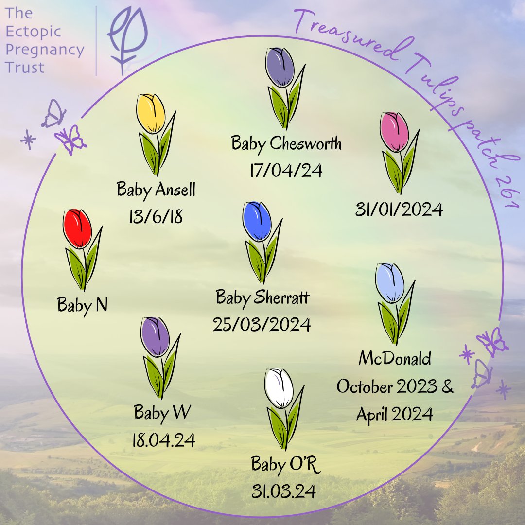 Today we share our Treasured Tulip patch numbers 259, 260 and 261 with you. With each Tulip we add to our virtual gardens, we are honoured that we are able to play a small part in commemorating your experiences: ectopic.org.uk/treasured-tuli…