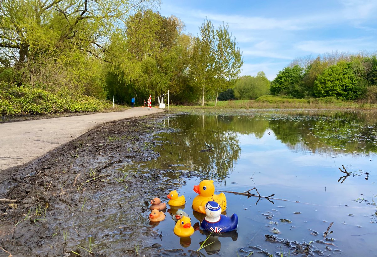 Event 590 headline stats: 476 runners & walkers 🏃🏽🚶‍♀️ 26 fabulous volunteers 🦺 96 visitors with us for the first time 🗺️ 37 brand new parkrunners 🌱 6 ducks 🦆 #parkrunfamily 🌳