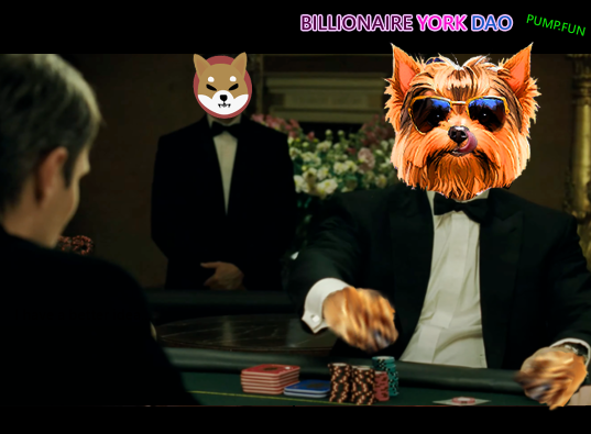 news_yorkie's tweet photo. Let's Make Memecoins Serious Again! 😎#MMSA !
#BillionaireYorkDao #BYD #SolanaMemeCoins #Pump.fun #doge #wif #solana #memecoin #FLOKİ #shiba #ShibaInu https://t.co/2BKgksScWM
