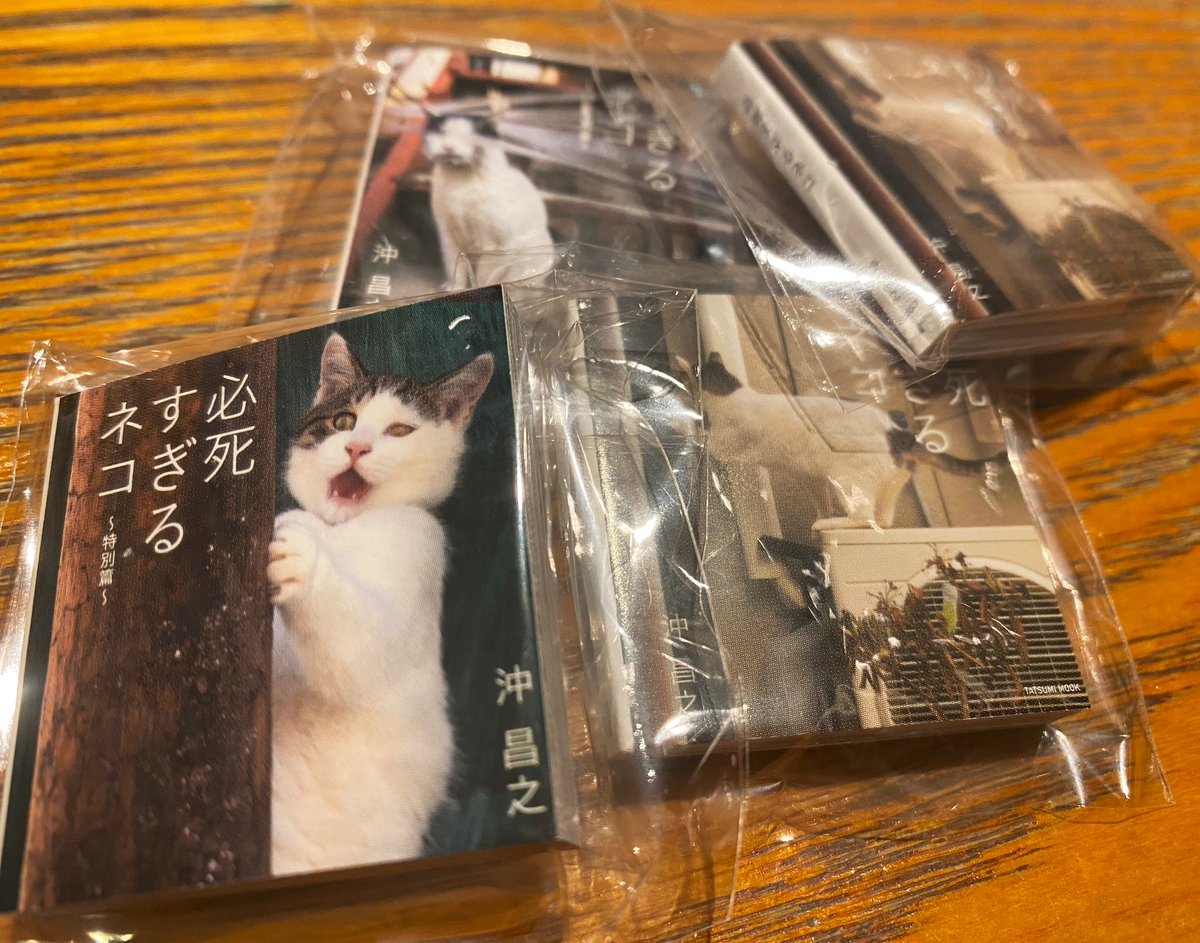 沖さんの必死すぎるネコしりーず豆本ガチャしてきた🐱上野4回まわして売り切れ🥹コンプリートしたかった…🥹それにしても可愛い🥹