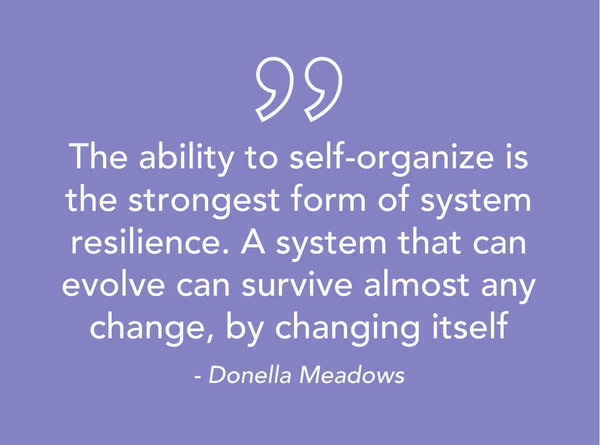 Self-organization is key to creating resilient and regenerative systems. Across all kinds of systems, it is important that we not only focus on prevention and mitigation but also work to design systems that are better able to self-organise and in so doing regenerate.