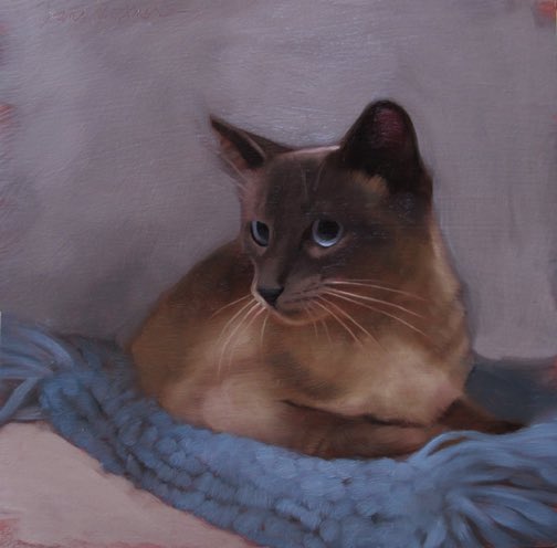 Meow, meow… happy Saturday with a beautiful siamese cat for #Caturday lovers. ©️Diane Hoeptner, American painter b. 1965
