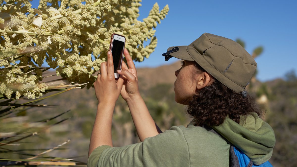 🌎 Cities around the world collaborate to share observations of nature. 👉 Join in participating in the @inaturalist's #CityNatureChallenge until April 29th! #PLANET4B #biodiversity #BehaviourChange #betterdecisions #time4betterdecisions #transformativechange 📷: iNaturalist