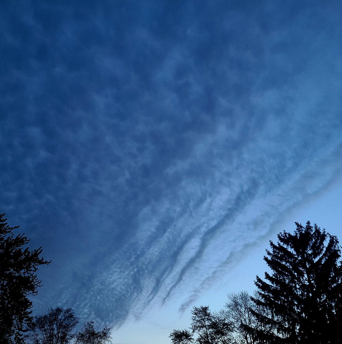 Sometimes clouds are just clouds. 61F #MorningWalk #Dawn #Sunrise #BestTimeOfDay #WonderingWhileWalking #Photography #TakeAnotherShot #DontLoseFocus #DoItForYou #GetAfterIt #PhotoChallenge2024