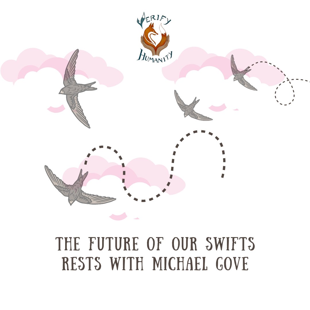 🥰 Will Gove say yes to saving swifts? 🥰

It's an honour to save a species, so please @michaelgove, say yes to swift bricks.  
@WriterHannahBT 

#verifyhumanity #coexist #coexistence #swifts #buildingdesign #buildingregulations