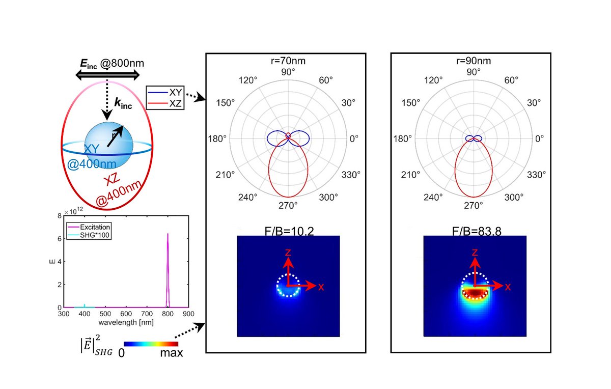 Plasmonica's tweet image. &quot;Tailoring second harmonic emission by ZnO nanostructures: Enhancement of directionality&quot; by E. Petronijevic and C. Sibilia from @ici_sapienza @SapienzaRoma is now published in our #PLASMONICA2023 Topical Issue of @JEOS_RP! Read it #openaccess at doi.org/10.1051/jeos/2…📰