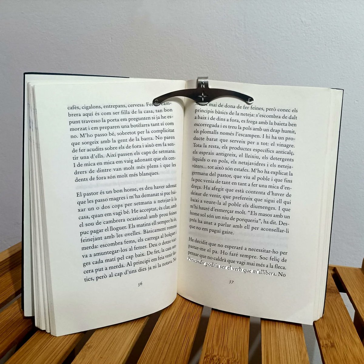 clipagbooks's tweet image. MAMUT (#evaBaltasar)
🏙️🛖Farta de la ciutat i deleitosa per ser mare, la protagonista decideix deixar-ho tot i començar una aventura en solitari en un poblet perdut, al mig de la muntanya @clubeditor #Clipag #subjectapagines #puntdellibre #lgtbqi #26m #diavisibilitatlesbica