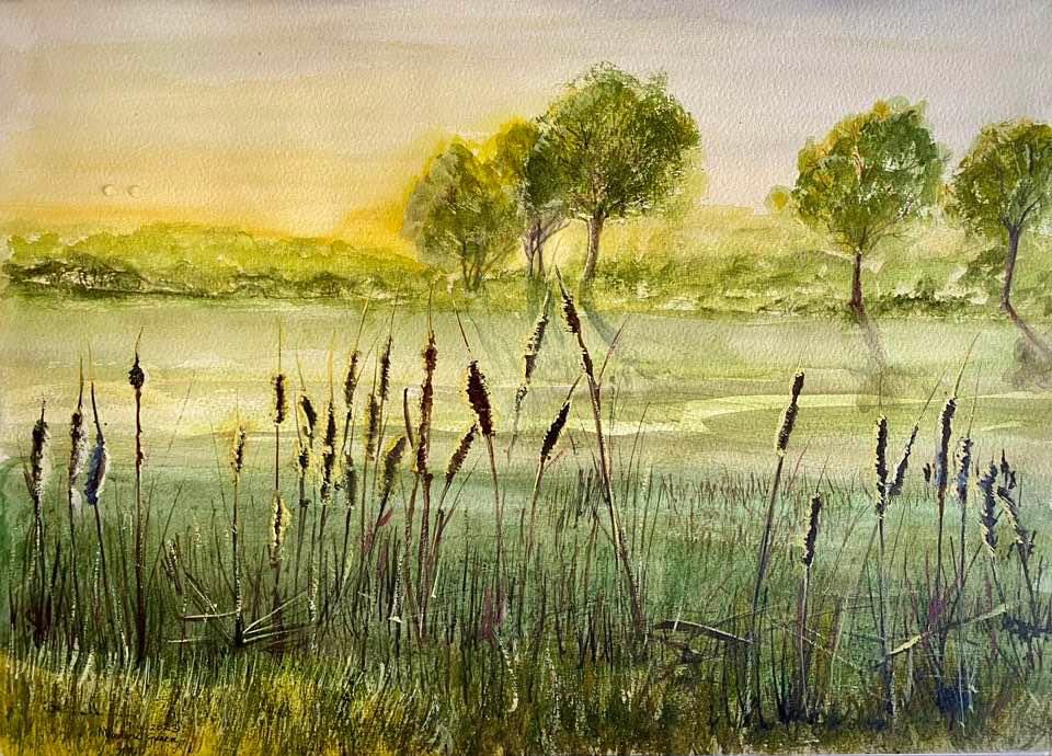 Beyond the Reedmace … Watercolour 🧑‍🎨🖌️🎨Artfulcodger