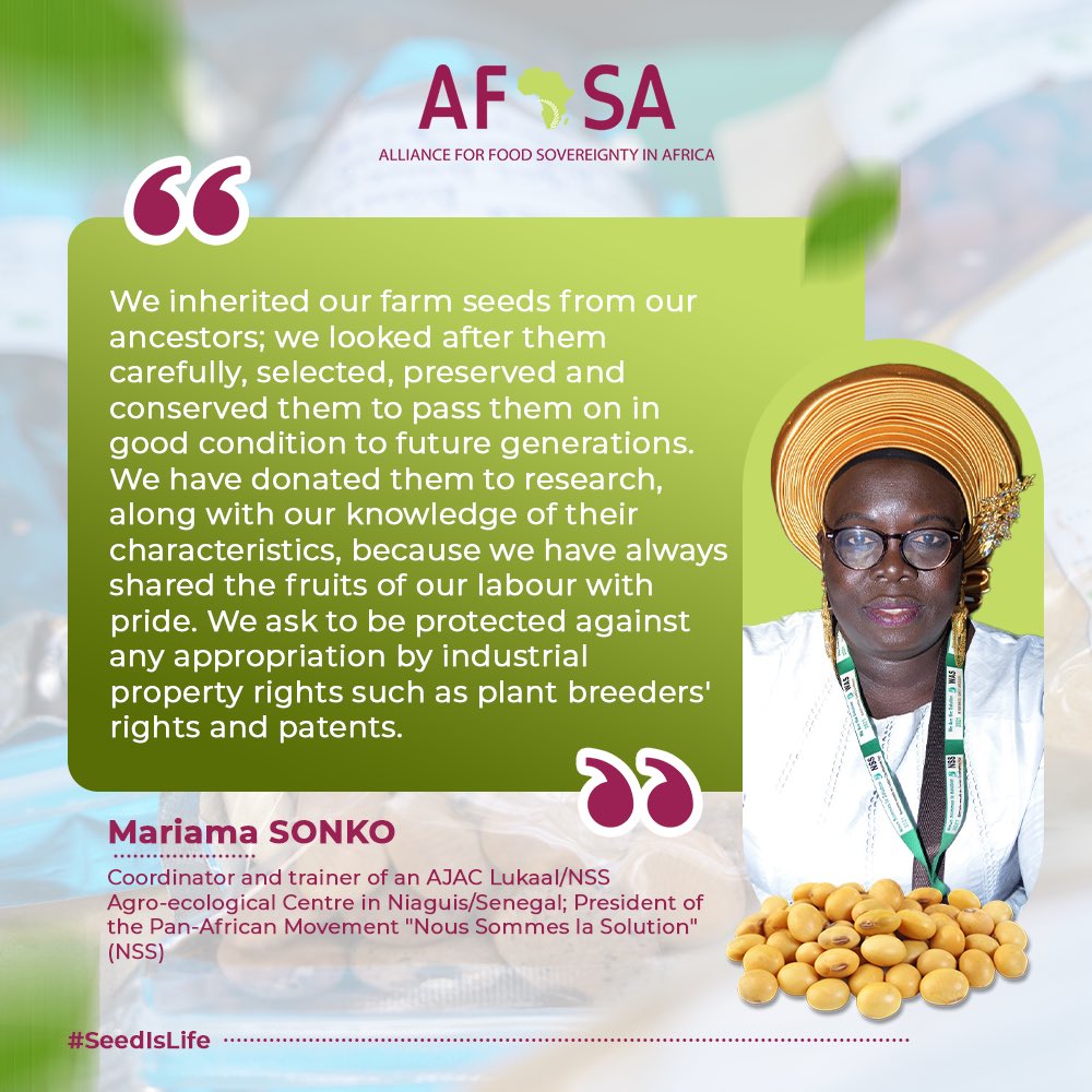 Sonko dirige un mouvement écoféministe de plus de 500 associations de femmes rurales au Sénégal, au Ghana, au Burkina Faso, en Gambie, en Guinée et au Mali. Elle promeut l'agroécologie durable et combat l'agriculture industrielle à grande échelle.
#MaSemenceMavie @Afsafrica