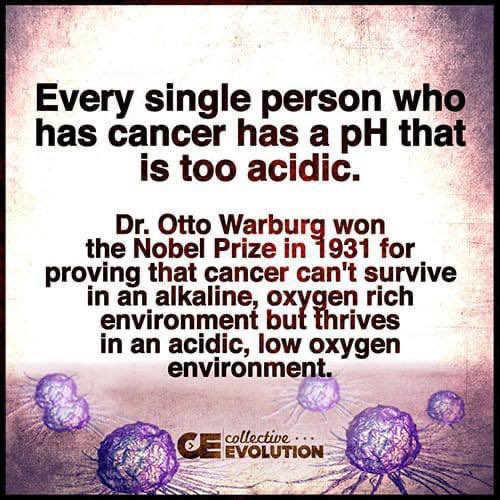 ‼️PH / ACIDIC / ALKALINE / CANCER‼️

“Every single person who has cancer has a pH that is too acidic. DR OTTO WARBURG the NOBEL PRIZE in 1931 for proving that cancer can't survive in an alkaline, oxygen rich environment but thrives in an acidic, low oxygen environment.”