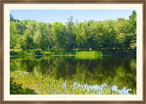 #NovaScotia in #summer.  It doesn't get any better  #lake #tranquility #serenity #VisitNovaScotia #BeautyInNature @VisitNovaScotia @NSNatureTrust @MNH_Naturalists @NatGeoPhotos @CanGeo fineartamerica.com/featured/take-…