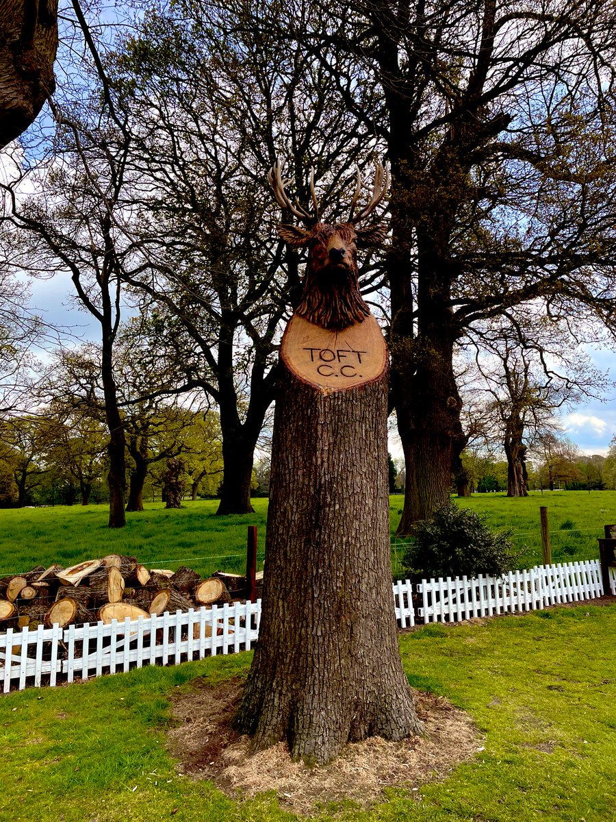 It’s @ToftCC first home game of the season today against Chester - 12 noon start, bar open in the sunshine 🏏 ☀️(stag by @BurgessSculptor fielding in the deep)