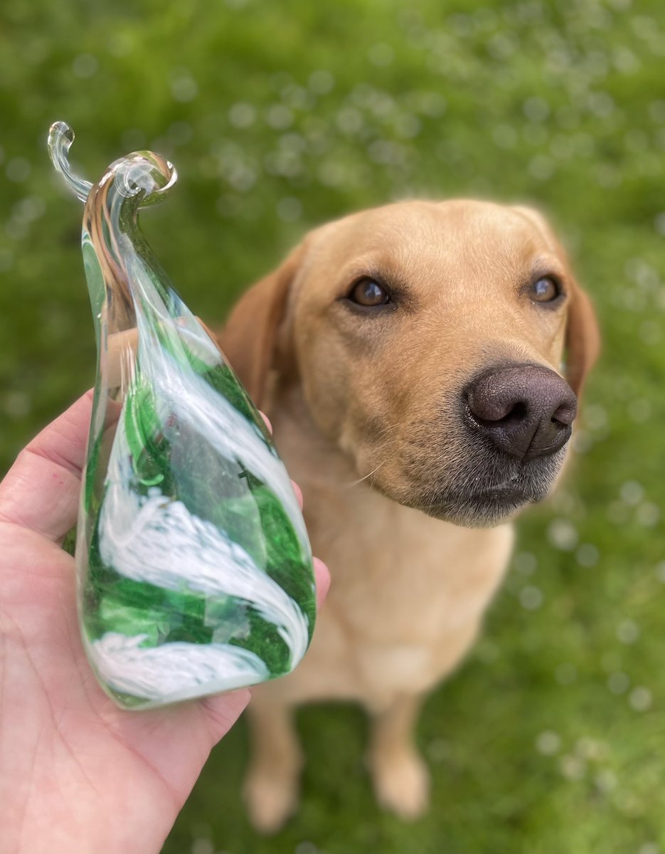 In. Pinch. Twist. OUT! Who’s the better blower? You decide! Don’t be swayed in any way whatsoever by Debbie’s adorable new Labrador, Seve, lending a hand in modelling her glass blowing efforts. Neil’s globulous one is to the left, Debbie’s is on the right. @Gaydio