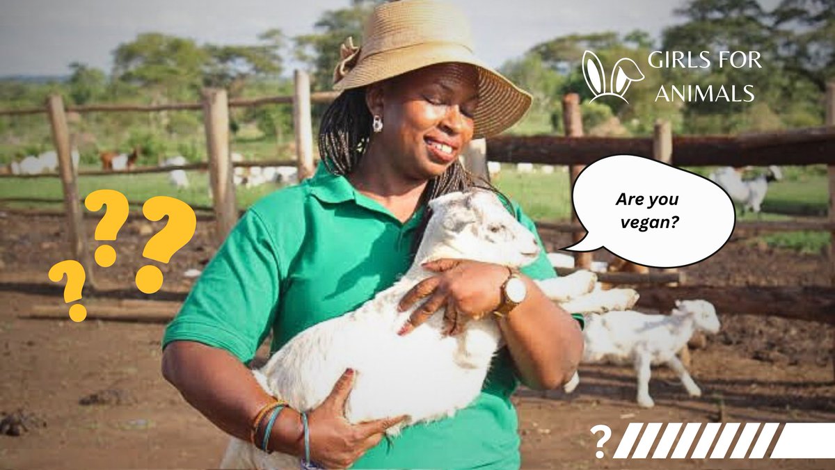 Today's reflection: If we cherish and love animals, Why do we eat them? Why do we tether them? Why do we milk them? Why do we even wear them? 🤔🐐 

A plant-based lifestyle honors their lives but also reduces suffering and promotes env'tal sustainability. 🌱
#vegan #animals