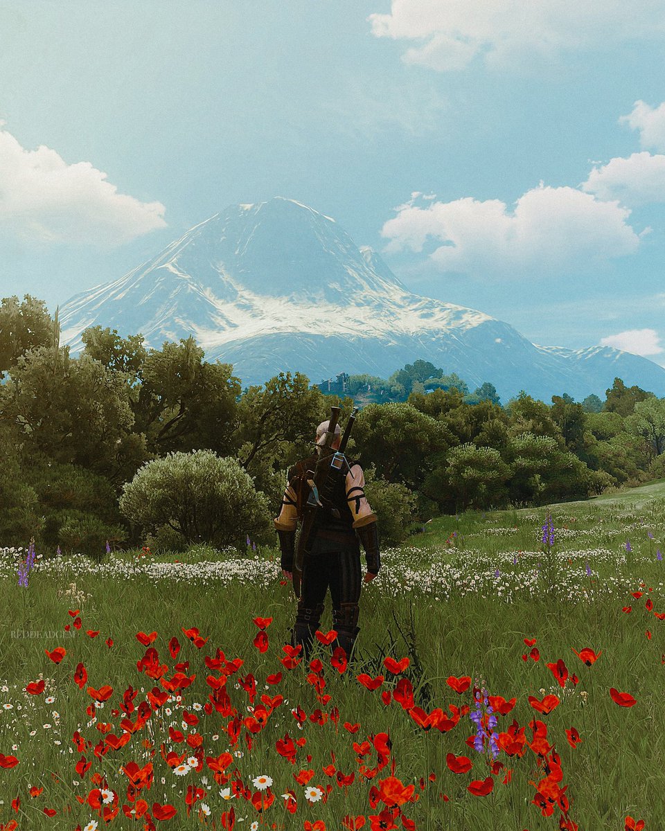 Enjoying the scenery 🤍 #TheWitcher3 #SocietyofVirtualPhotographers #TheCapturedCollective #ArtisticofSociety #VirtualPhotography #ThePhotoMode @witchergame