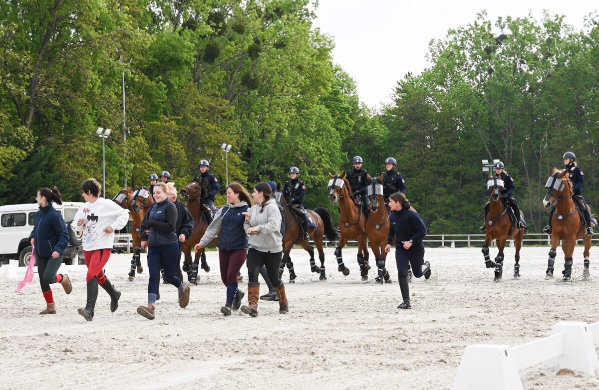 🎉 La brigade équestre du 93 fête ses 3️⃣0️⃣ ans ! 30 ans à patrouiller dans les rues parisiennes et de l’agglomération, à apporter une présence rassurante lors d'événements d'ampleurs. Une brigade atypique, un savoir-faire d’excellence: 4 policiers et 1 cheval ont été décorés à…