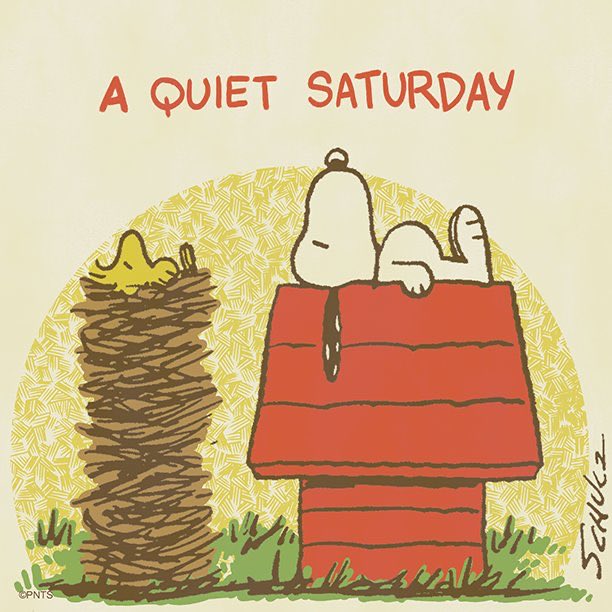 A QUIET SATURDAY