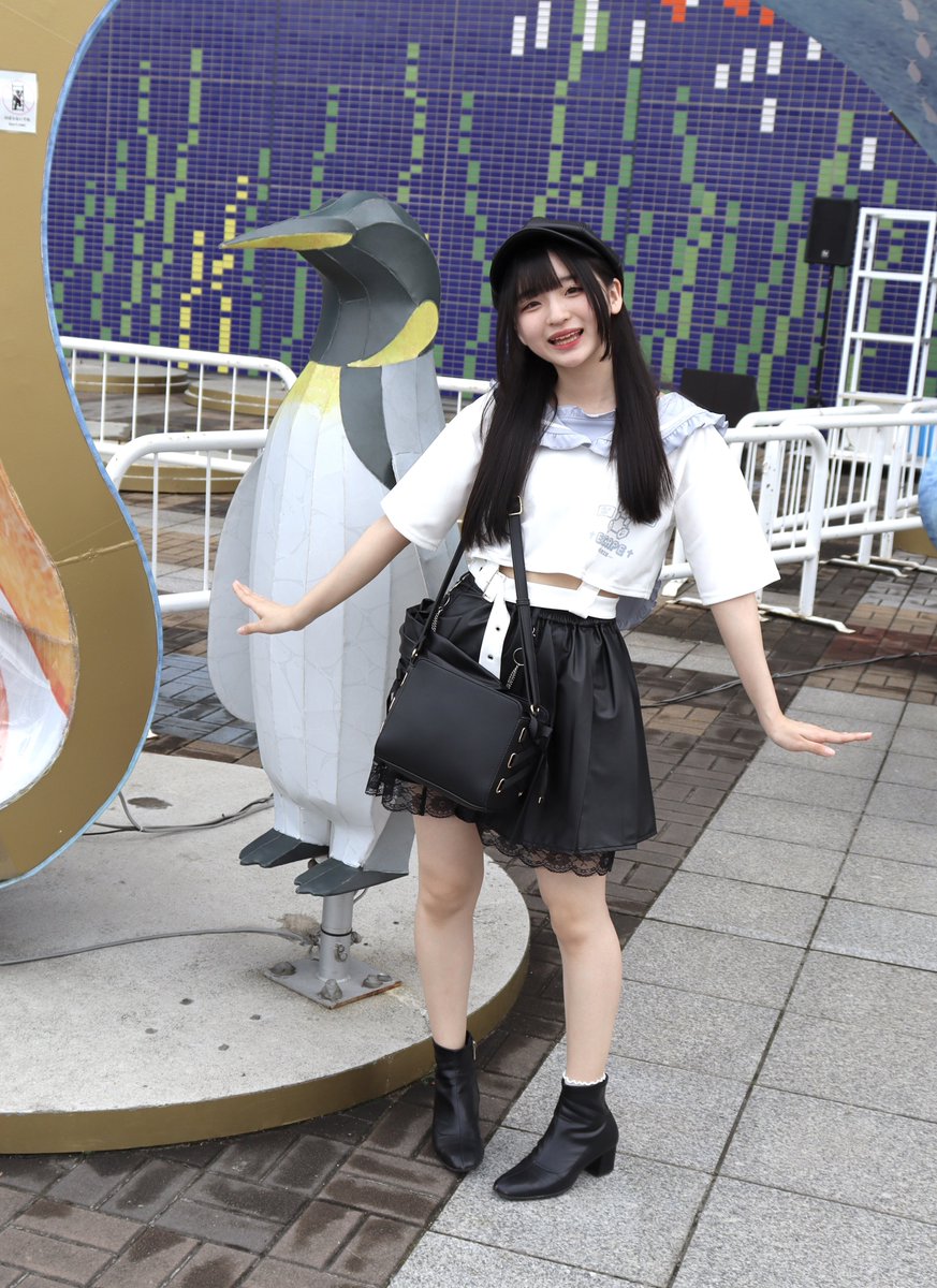 #ゼロキョリ撮影会
2024年4月27日（土）
海遊館（大阪） 

【ペンギンさん🐧】

#ゼロキョリハーツ
#猫乃みこ
#みこさましか
#シャッターチャンスSpring