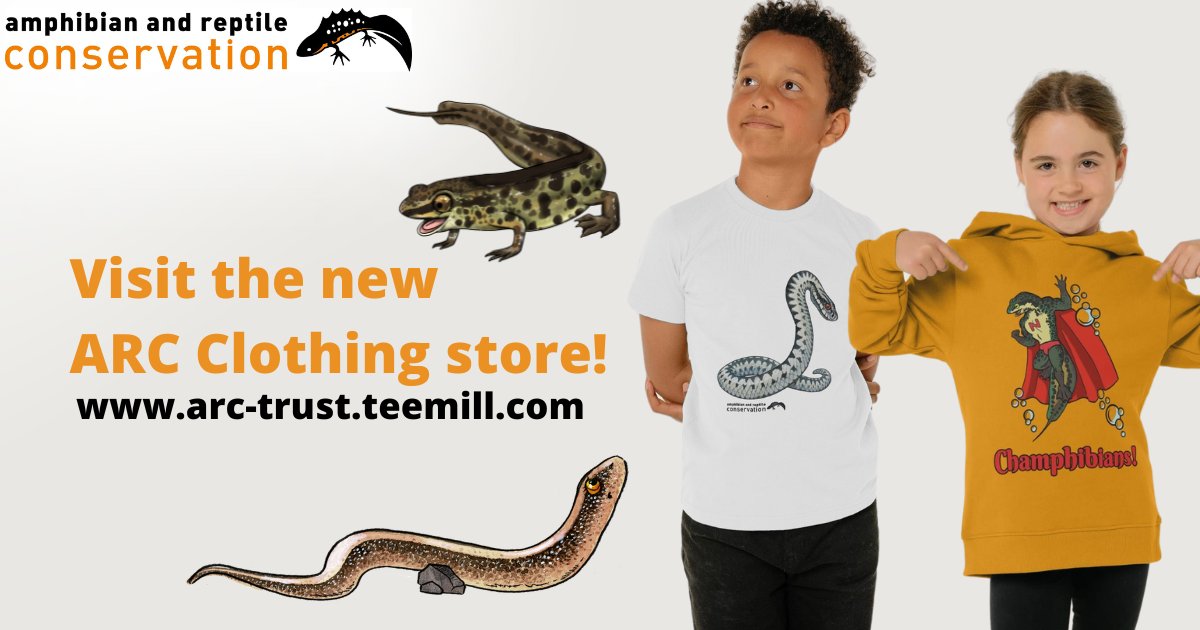Our new Teemill store has plenty on offer, both in adult and children's sizes! 🛍️🐸

Buy from the store today to contribute to the conservation of amphibians and reptiles across the UK! 

Explore the store here👉 arc-trust.teemill.com